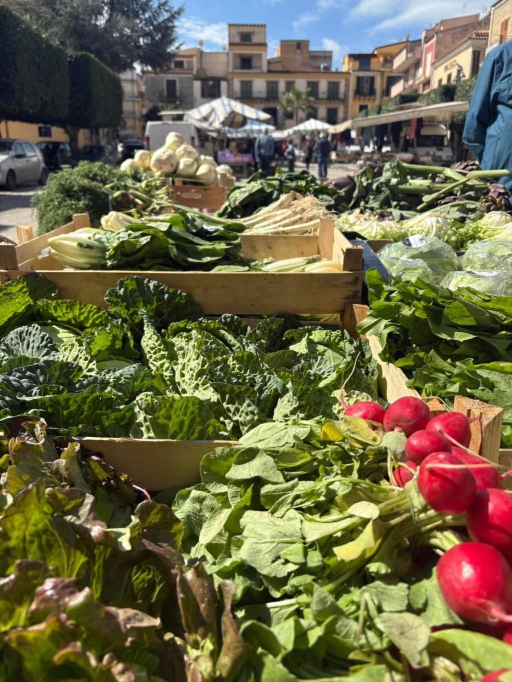 I sapori dei Sicani conquistano il 78° Congresso Nazionale Assoenologi