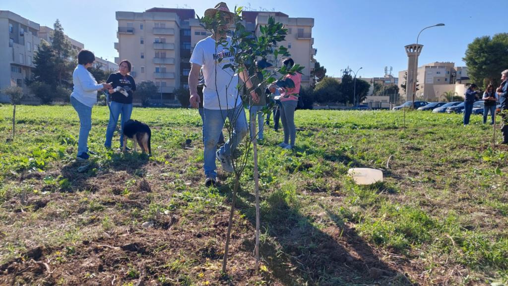 Forestazione urbana contro i cambiamenti climatici