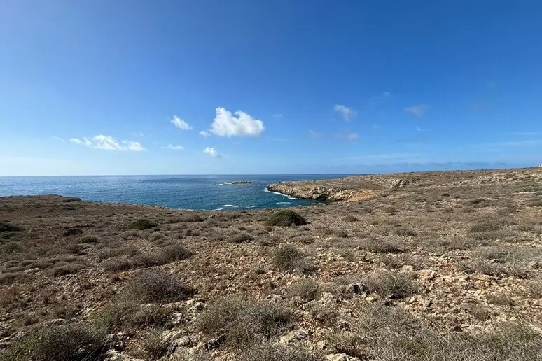 Favignana, dubbi e polemiche su vendita area lungo la costa