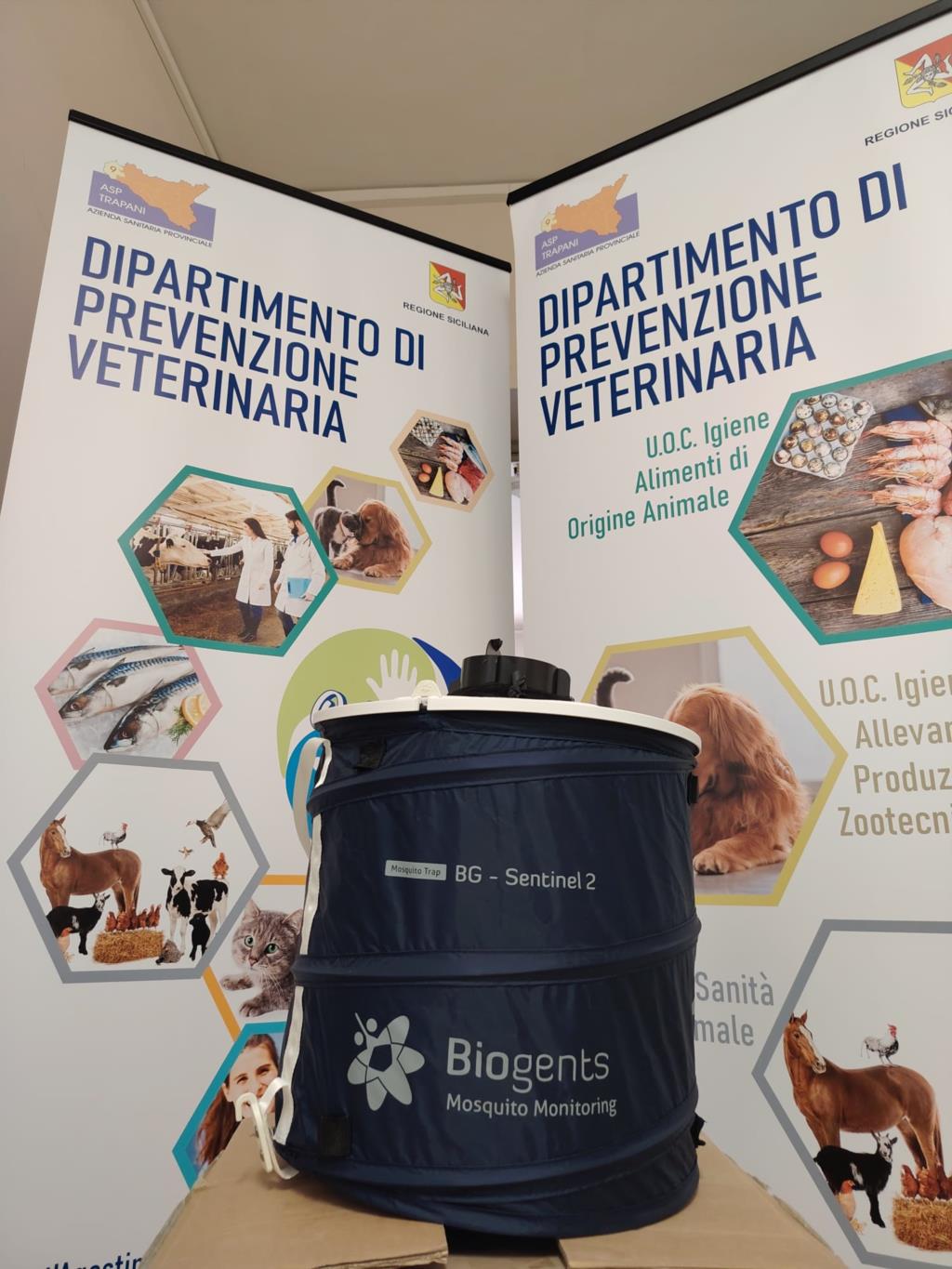 West Nile virus, prevenzione e sorveglianza veterinaria all’Asp di Trapani