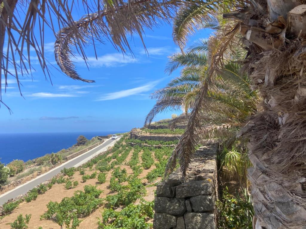 Il Distretto Turistico a Pantelleria per proporre strategie comuni e incentivare il turismo